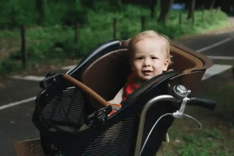 When To Switch From Bassinet To Stroller Seat Uppababy?