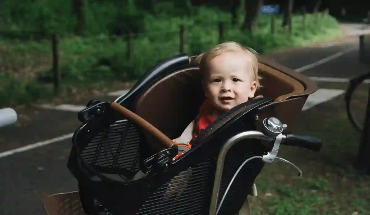 When To Switch From Bassinet To Stroller Seat Uppababy?