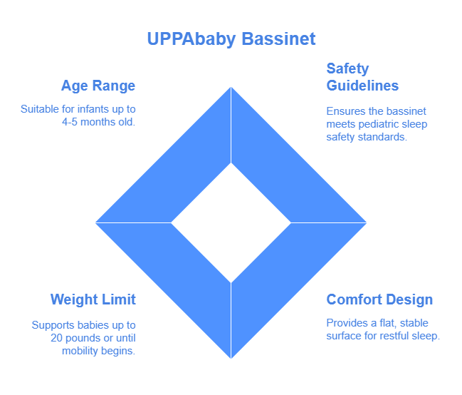 Understanding the Bassinet